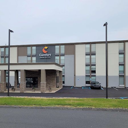 Comfort Inn & Suites Wyomissing-Reading Exteriör bild